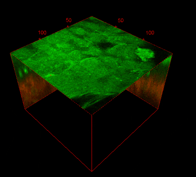97c3ec7111221520ba55490edaf4db6.png